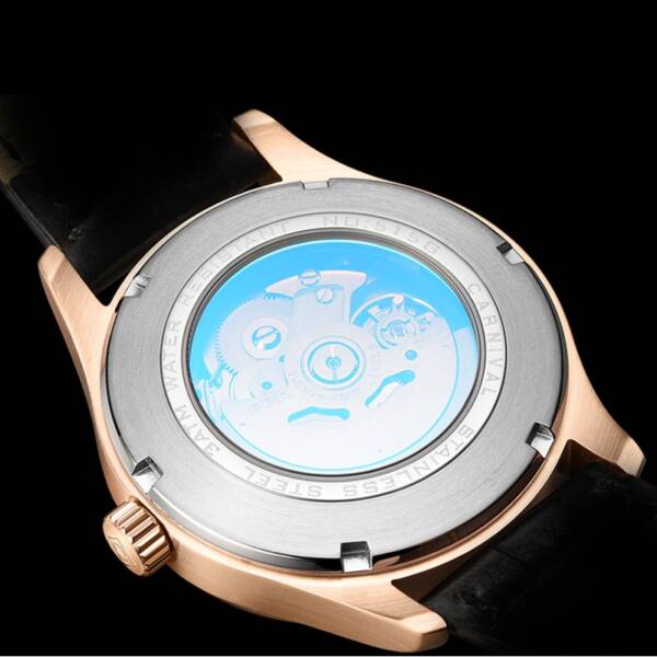 Relogio Masculino Carnival Brand Luxury Automatic Watch Mens Fashion 3D Tiger Rose Gold Mechanical Wristwatch Clock 3